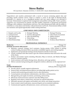 CV Example for Account Manager