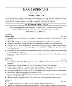 Resume Example for Delivery Driver
