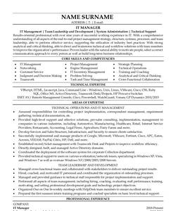 Resume Example for IT manager