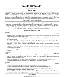 Resume Example for Realtor