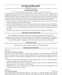 Resume Example for Sales Manager