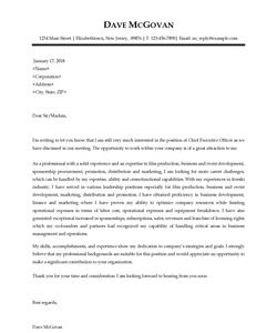 Thank You Letter to Chief Executive Officer after Interview
